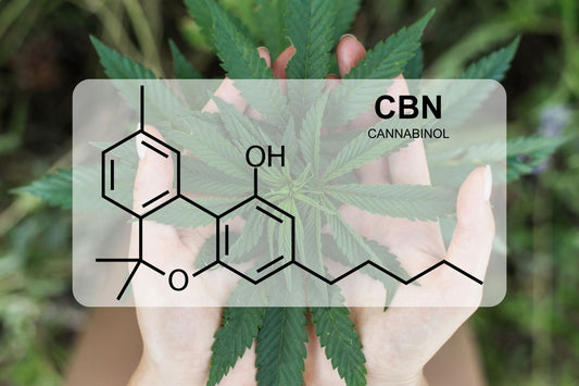 Che cos'è il CBN (cannabinolo)?