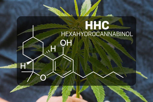 Struttura chimica dell’HHC (Esaidrocannabinolo)