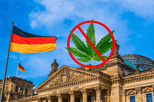 Legalizzazione della cannabis in Germania