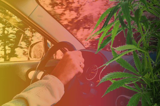 Legalizzazione della cannabis in Germania