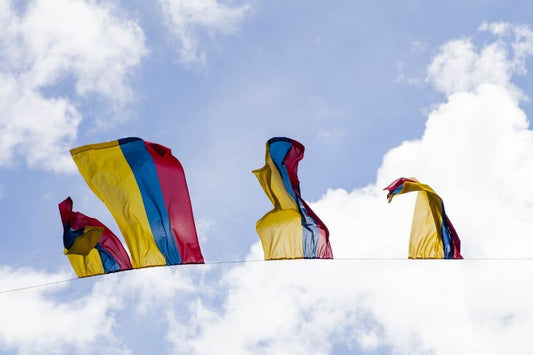 Il futuro della cannabis in Colombia secondo Petro