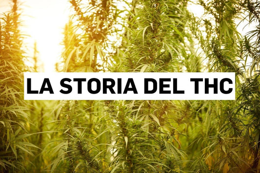 La storia del THC