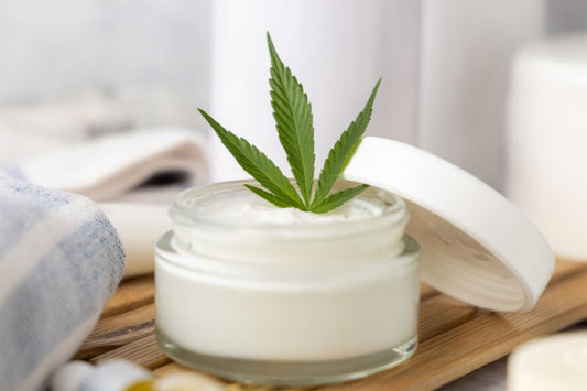 Crema al CBD e CBG
