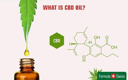 Cos'è il CBD? La guida completa al Cannabidiolo, utilizzi, benefici e rischi dell'olio di CBD