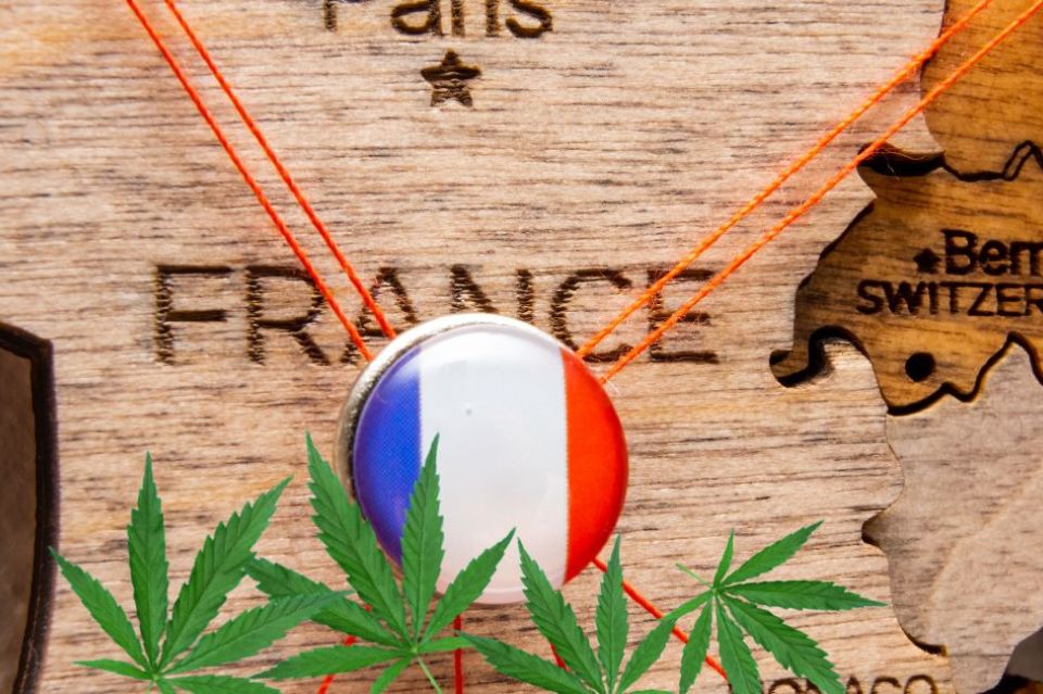 Bandiera francese con foglie di cannabis