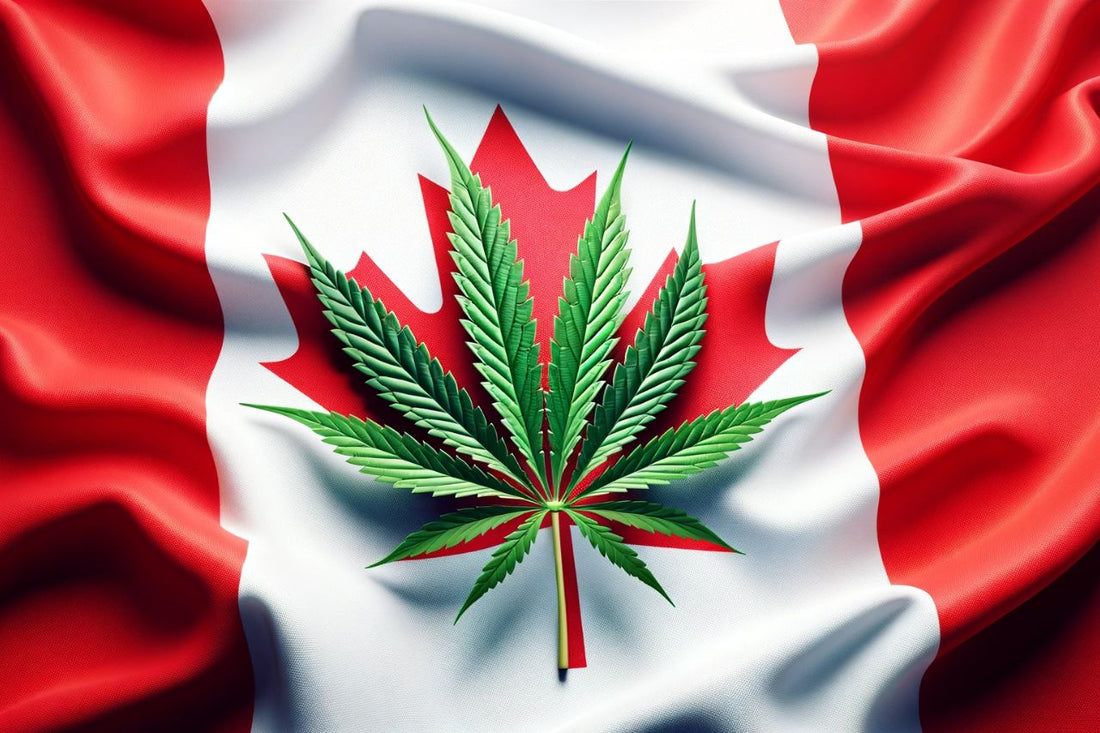 Foglia di cannabis davanti alla bandiera canadese