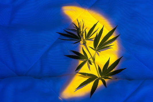 Foglie di cannabis a letto