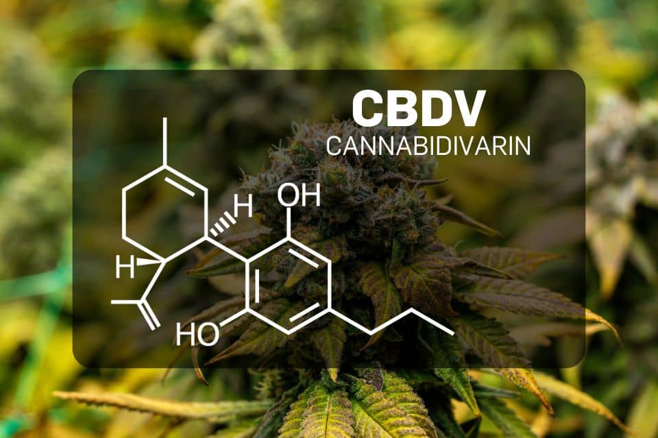 Struttura chimica della Cannabidivarina (CBDV)