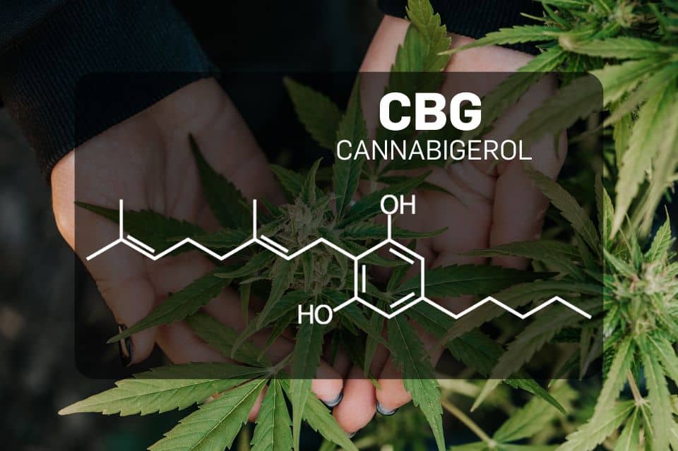 Immagine molecolare del CBG