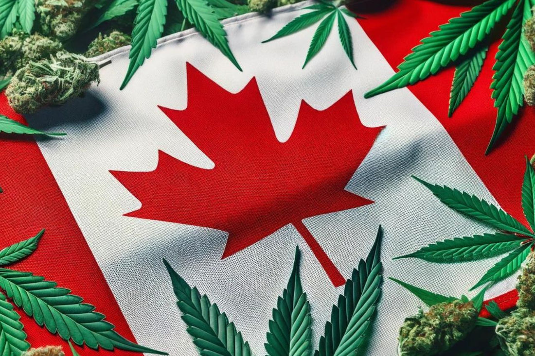 Bandiera canadese e foglie di cannabis