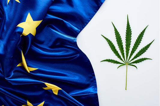 Cannabis: La sostanza più illegale in Europa
