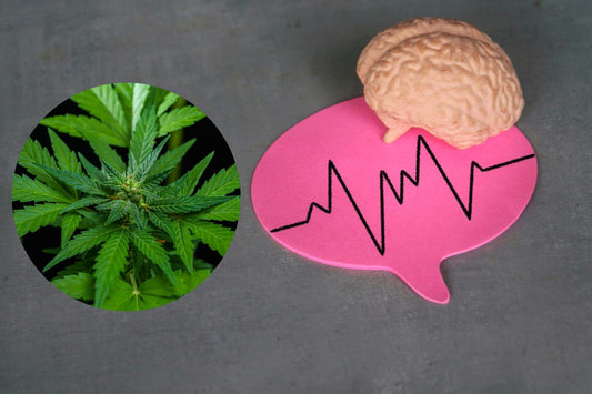 Cannabis per il trattamento neurologico