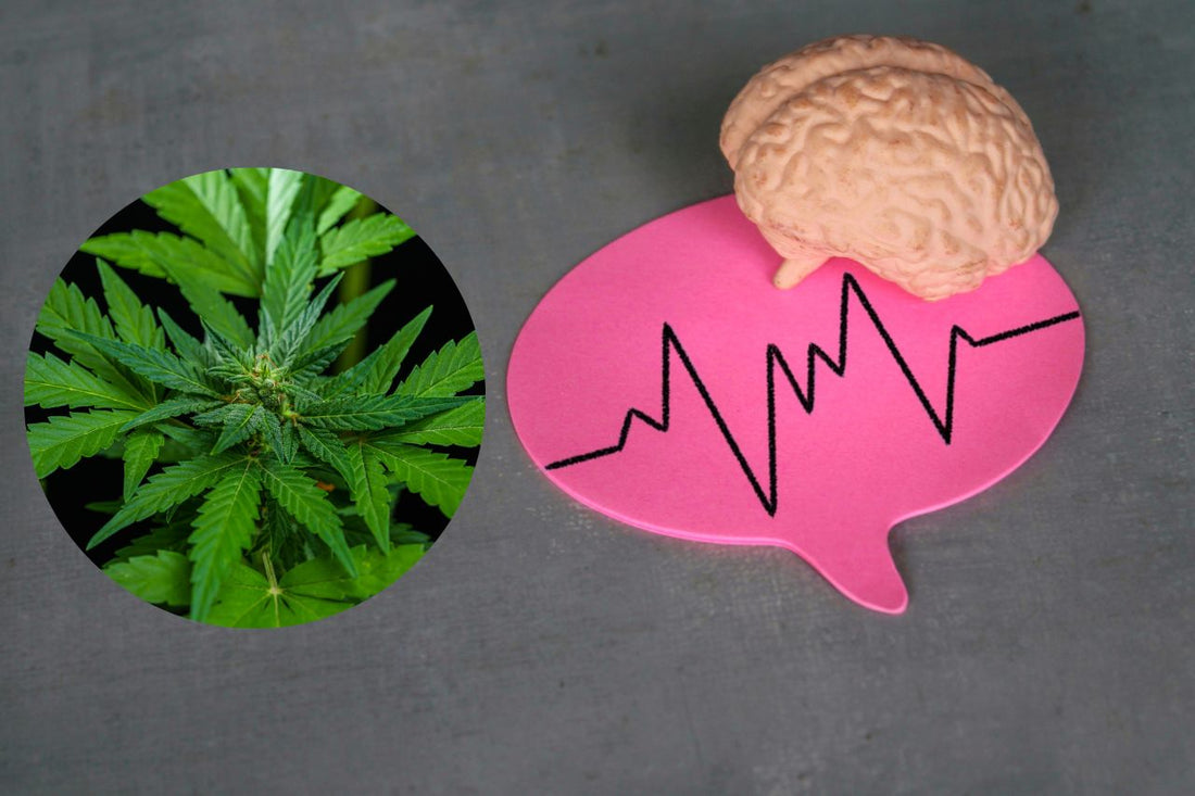 Cannabis per il trattamento neurologico
