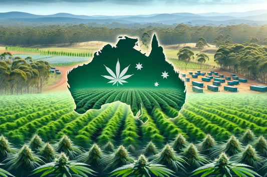 Mappa dell'Australia in Cannabis Farm
