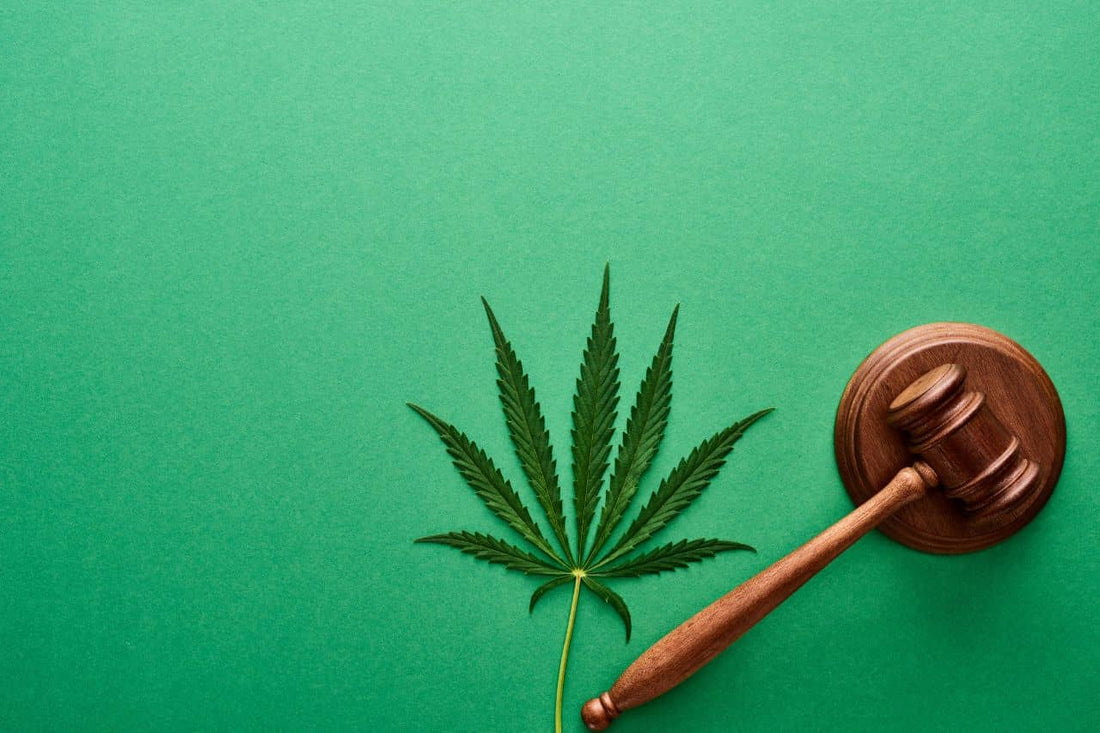 foglia di cannabis e martelletto