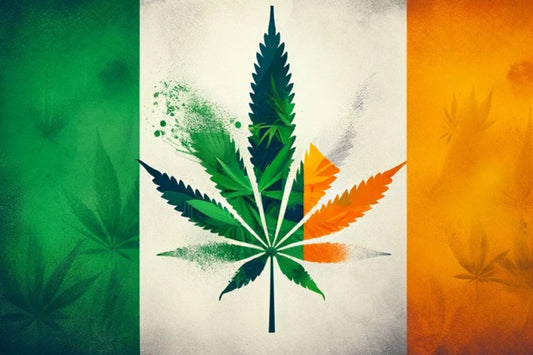Il colore della bandiera irlandese e una foglia di cannabis