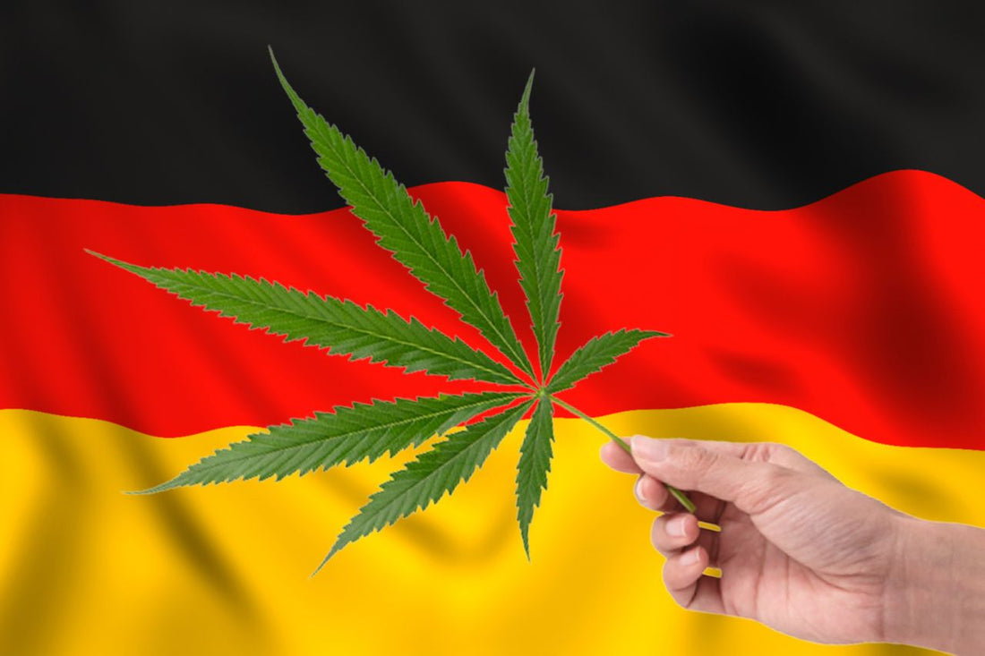 Foglia di cannabis davanti alla bandiera tedesca