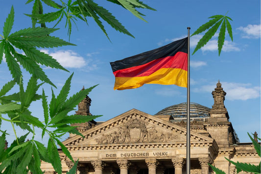 Foglia di cannabis davanti al Reichstag