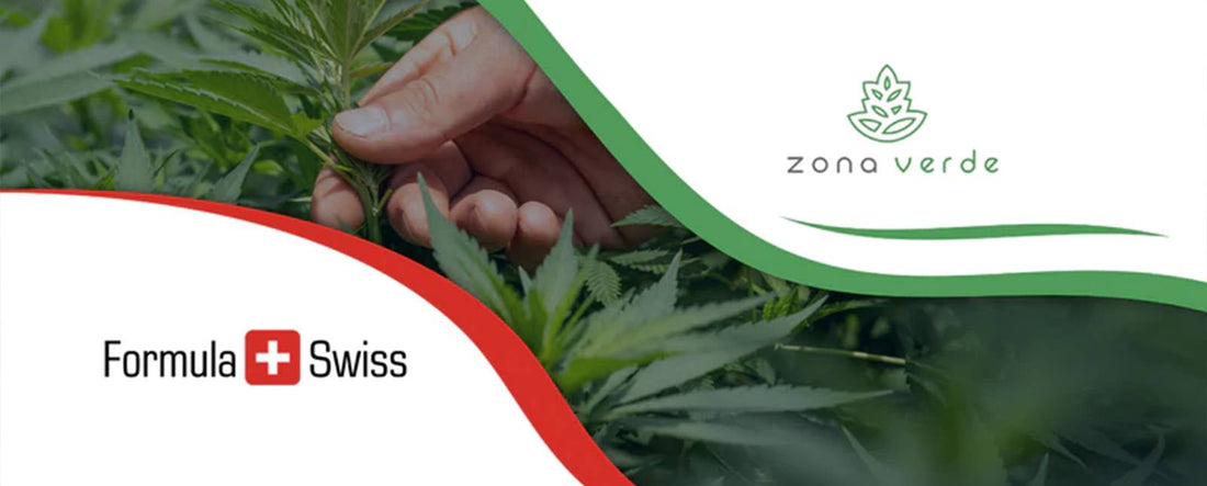 Formula Swiss collabora con il principale rivenditore di cannabis in Romania