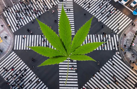 Ginza, Tokyo. e una foglia di cannabis