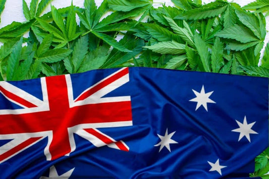 Foglie di cannabis e bandiera australiana