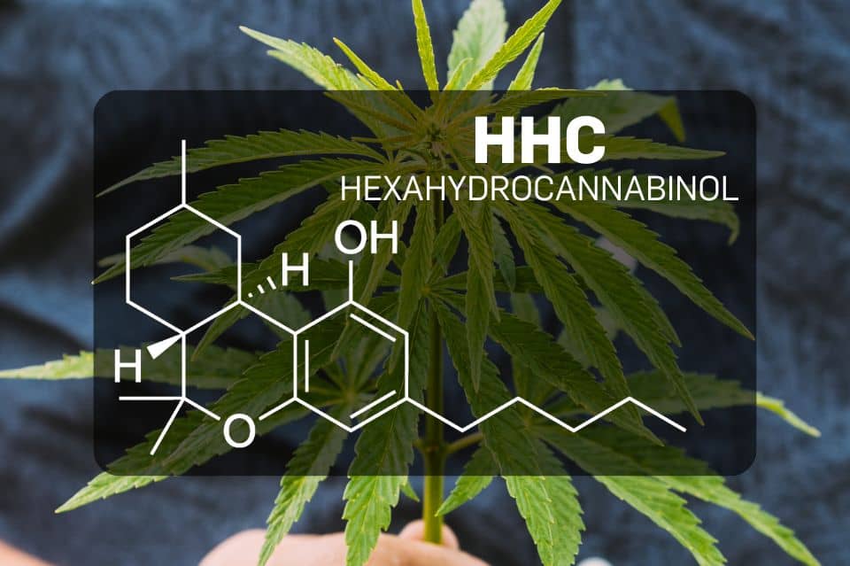 Struttura chimica dell’HHC (Esaidrocannabinolo)