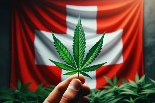 Foglia di cannabis infornata dalla bandiera svizzera