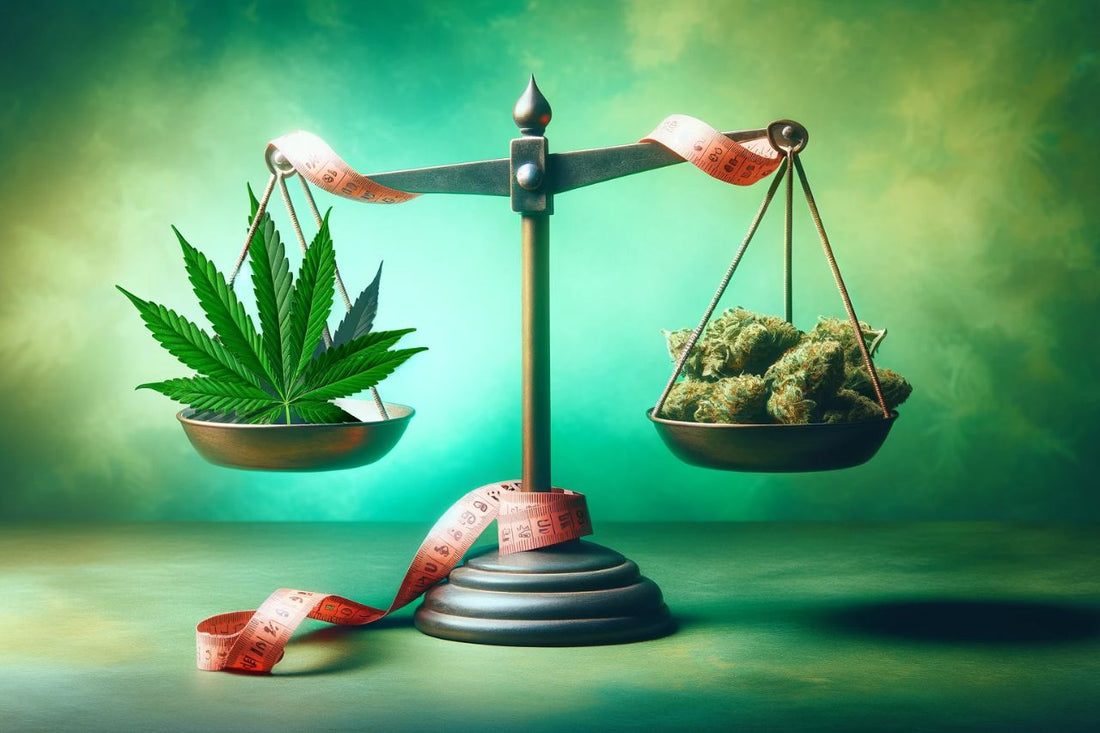 Cannabis, bilancia, nastro di misurazione