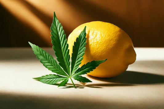 Un limone e una foglia di cannabis