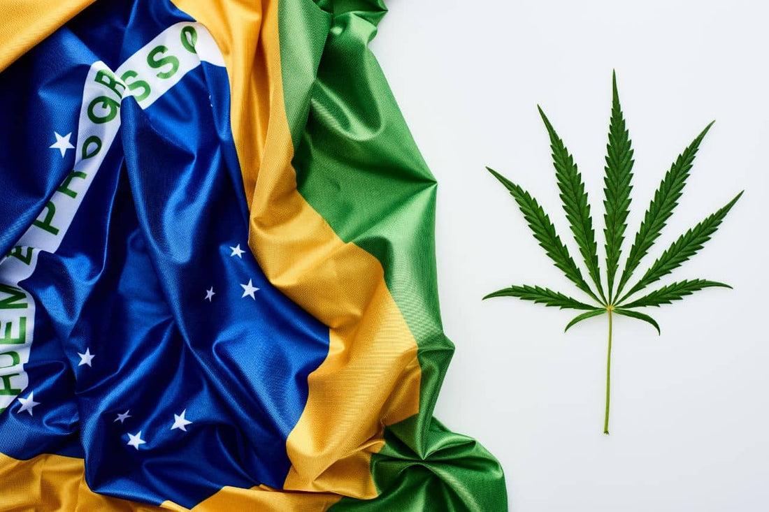 Bandiera del Brasile e foglia di cannabis