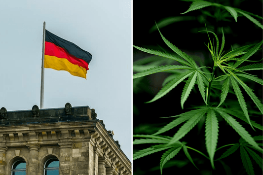 La Germania guarda al successo della cannabis in Canada