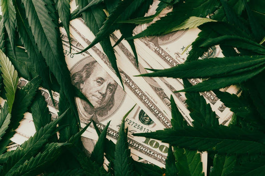 Dollaro e foglie di cannabis