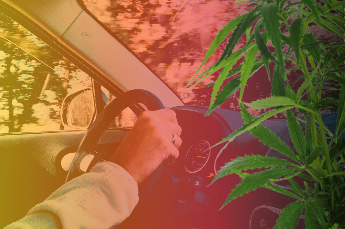 Legalizzazione della cannabis in Germania