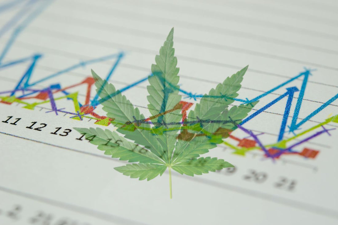 Cannabis medica: Ascesa e impatto globale