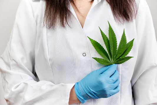  Un medico con in mano una foglia di cannabis