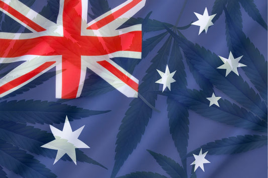 Bandiera australiana e foglie di cannabis