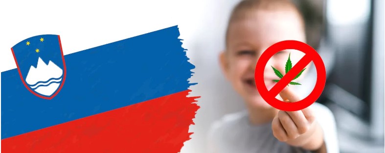 La Slovenia vieta il CBD dopo che i produttori locali hanno avvelenato dei bambini