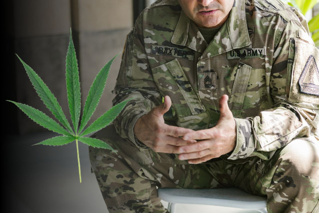 La cannabis migliora la vita dei veterani