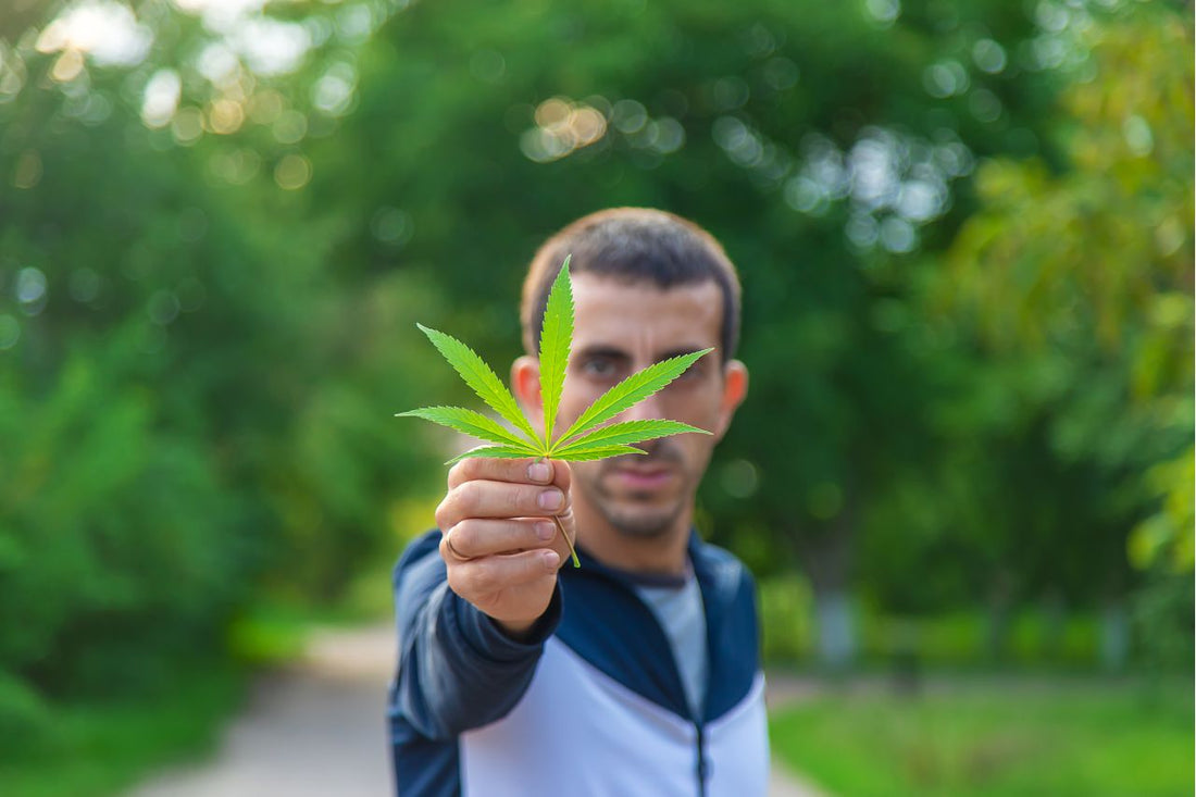 La politica israeliana sulla cannabis terapeutica