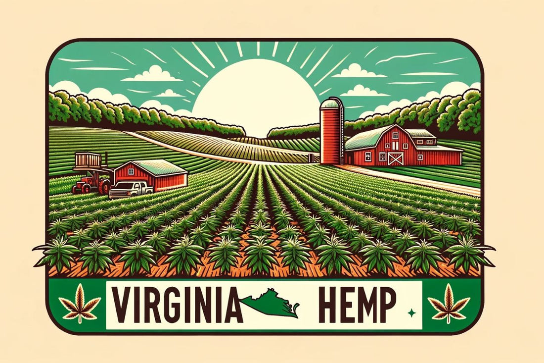 Un disegno di una fattoria di canapa della Virginia