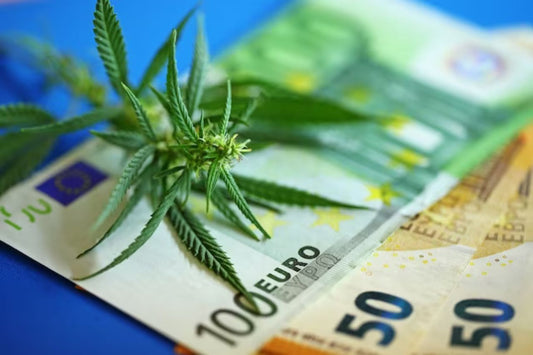 Legalizzazione della cannabis in Germania 