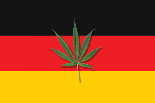 Legalizzazione della cannabis in Germania