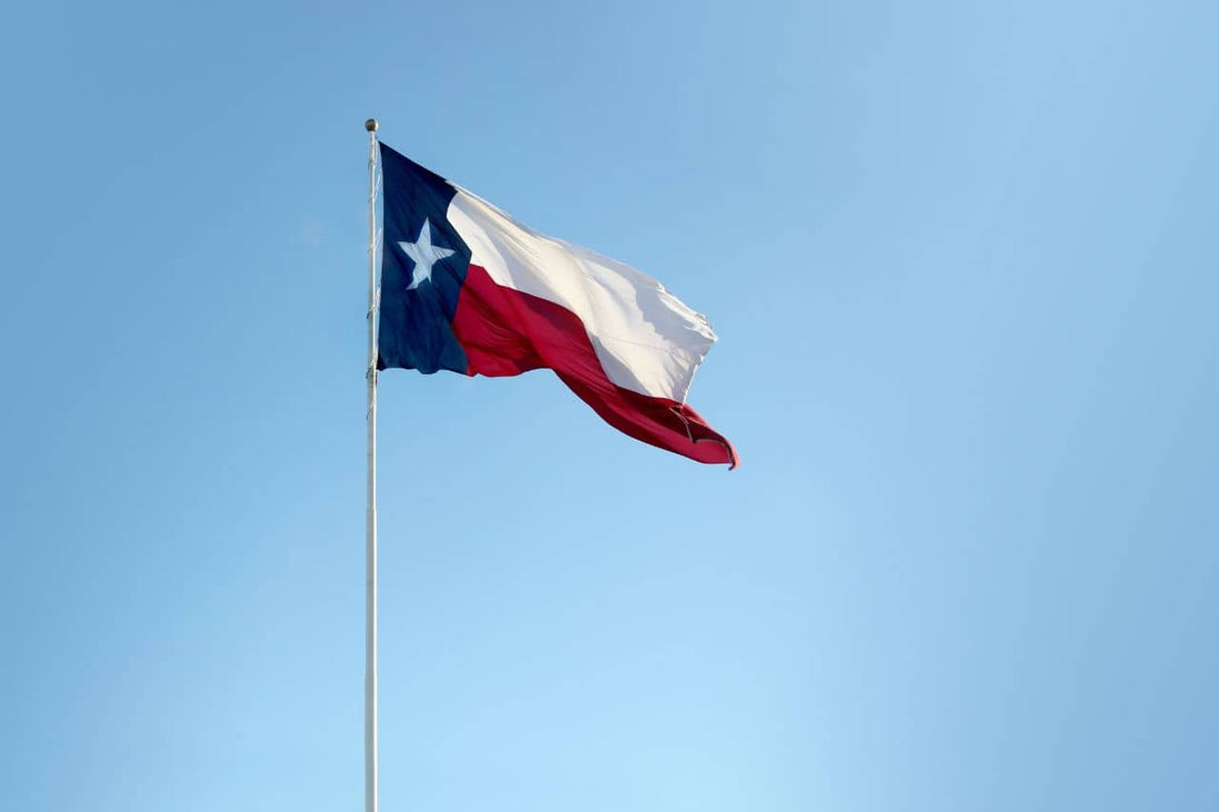 Bandiera del Texas che sventola