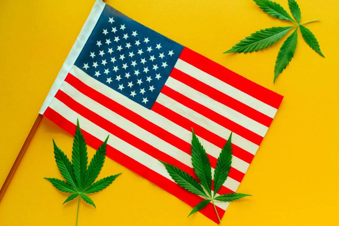 Bandiera americana con foglie di cannabis