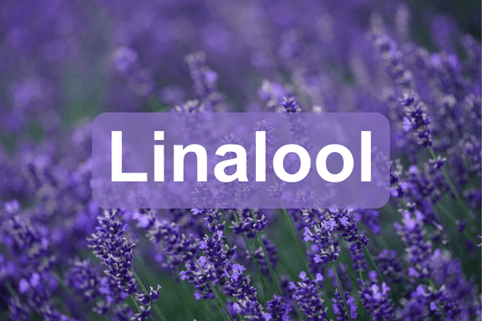 Linalolo: Il terpene aromatico e terapeutico della cannabis