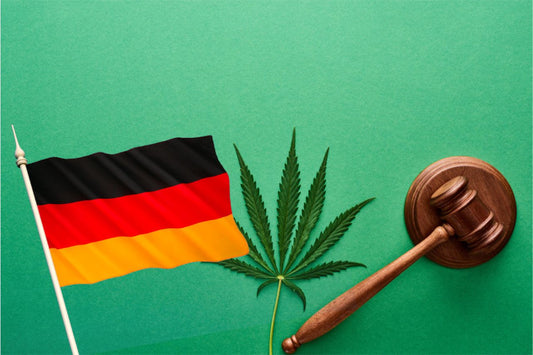 Bandiera tedesca, foglia di cannabis, gavetta