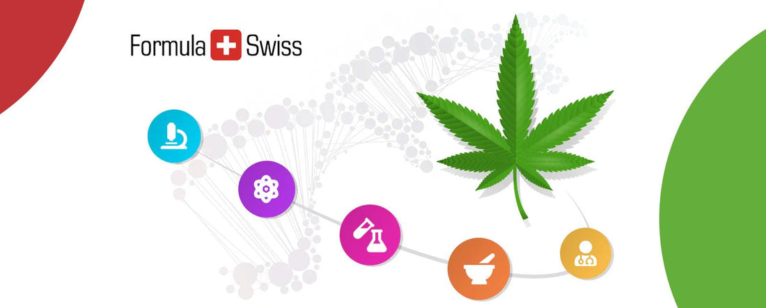 Comunicato stampa: Ricercatori olandesi collaborano con l'azienda svizzera di cannabis per la ricerca di alternative sicure e naturali per risolvere i problemi del sonno