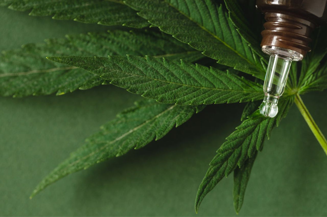 Regolamenti sulla cannabis medica in Nuova Zelanda