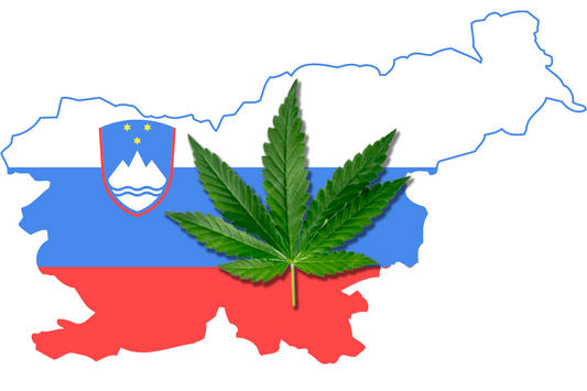 Gli oppositori della cannabis in Slovenia
