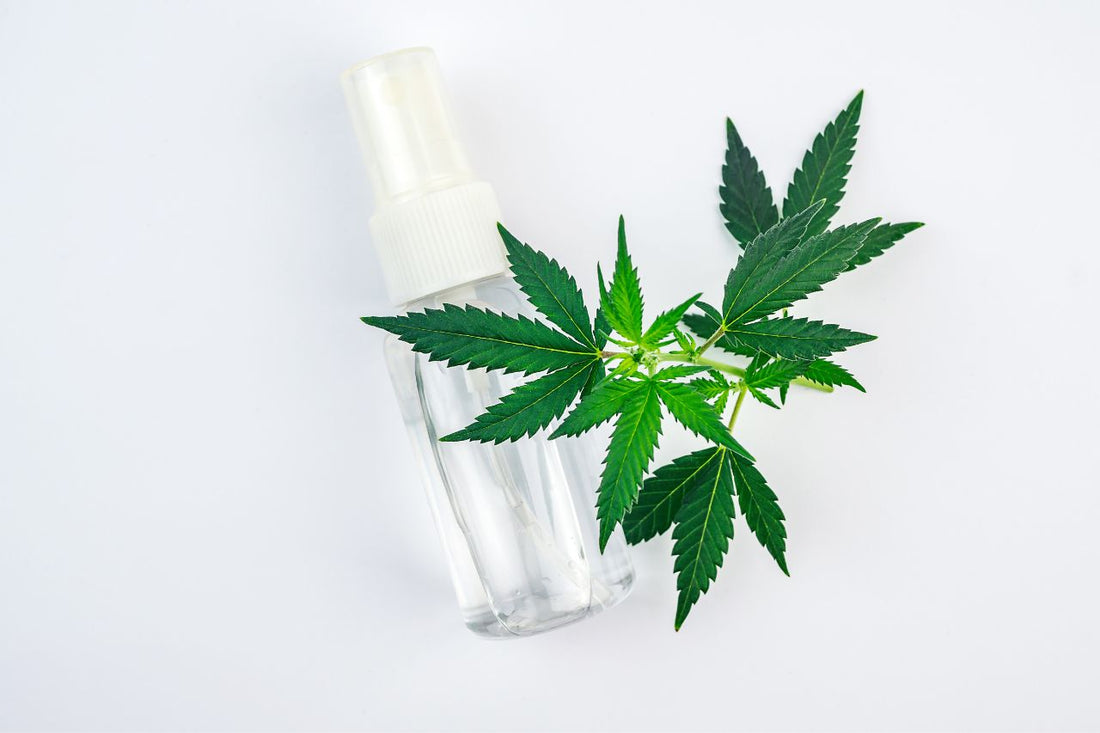 Cannabis Spray: un faro di speranza